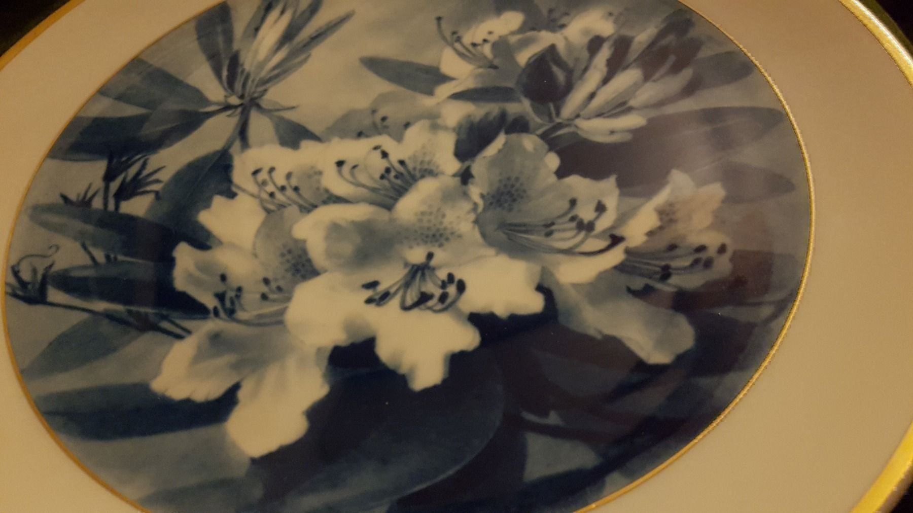 Piatti: Meissen Aquatinta Blume Wandteller – Nuovo (secondo la descrizione) da Urtenen-Schönbühl venduto da Cbuyer 2