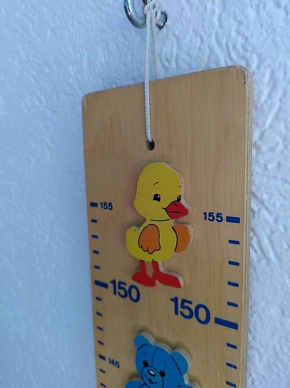 Misurare: Misuratore di altezza x bimbi – Usato da Sessa venduto da uza_x5jm 2