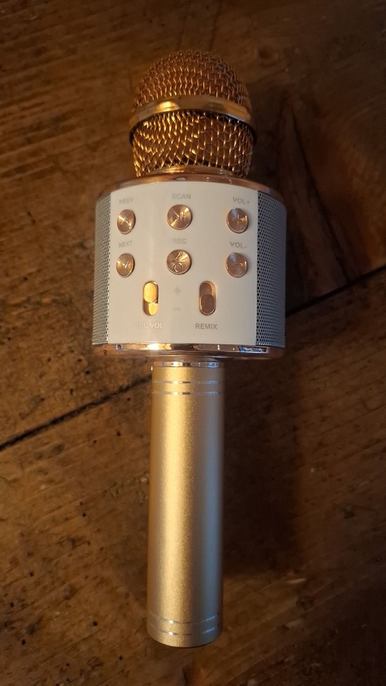 Mikrofone: Karaoke Mikrofon mit Lautsprecher/Bluetooth roséfarben – Gebraucht aus Ebnat-Kappel von Aibur