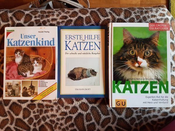 Bücher: 3 Katzenbücher = 1 Preis – Gebraucht aus Oberengstringen von Sheera7