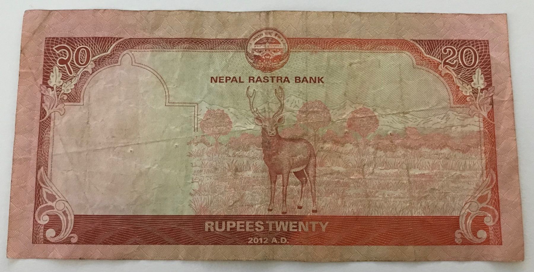 Banconote: Nepal 20 Rupees 2012 – Usato da Algetshausen venduto da Carrhard 1