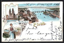 Litho Zürich, Gesamtansicht aus der Vog