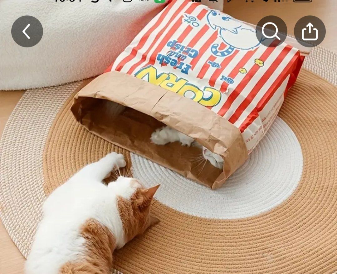 Giocattoli: katzenspielzeug Popcorn Tüte – Nuovo (secondo la descrizione) da Neftenbach venduto da Grisu97 1