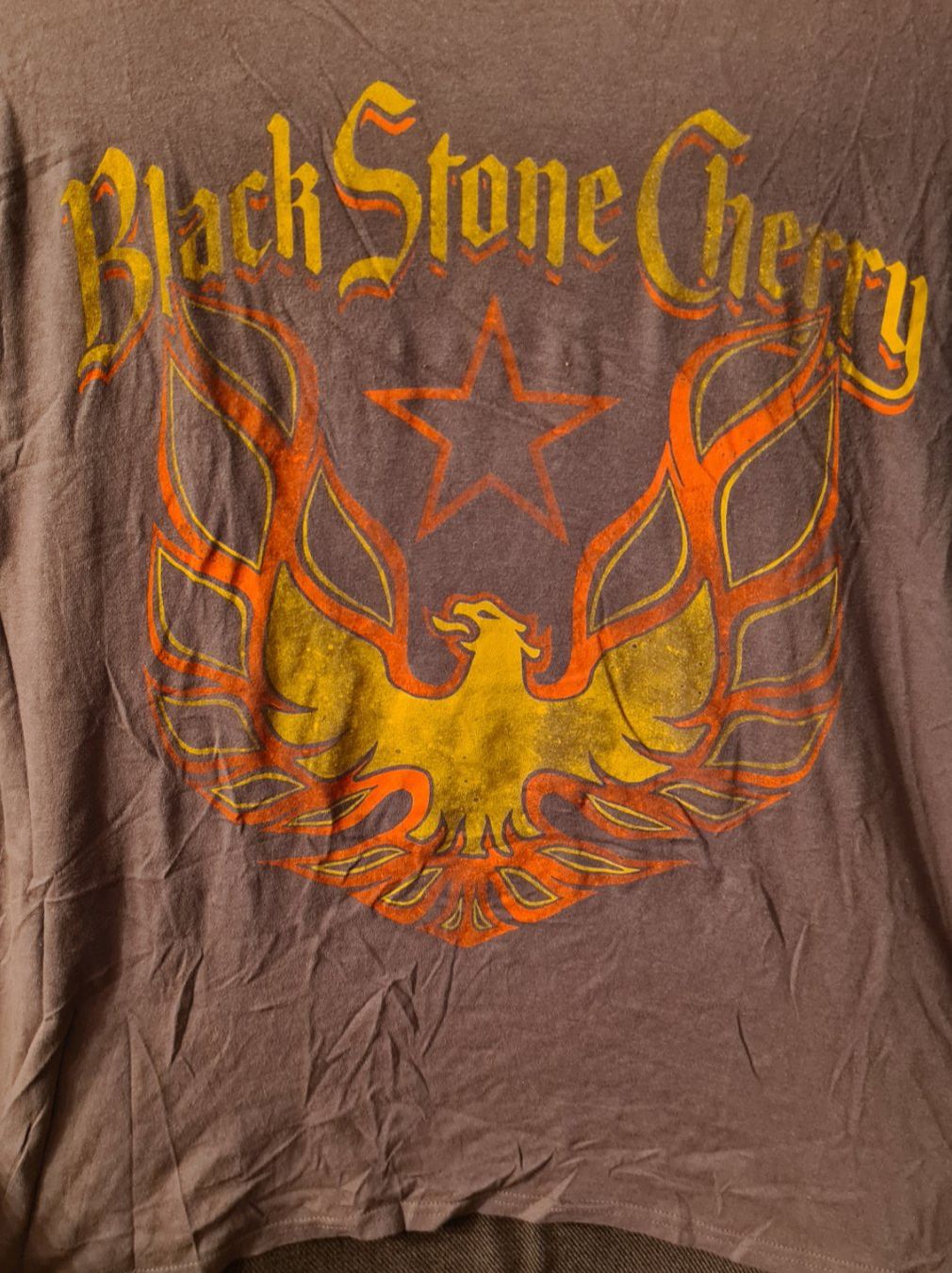 T-shirt: T-Shirt Black Stone Cherry XXL – Usato da Oberkirch LU venduto da ThE_CoLLecTor666