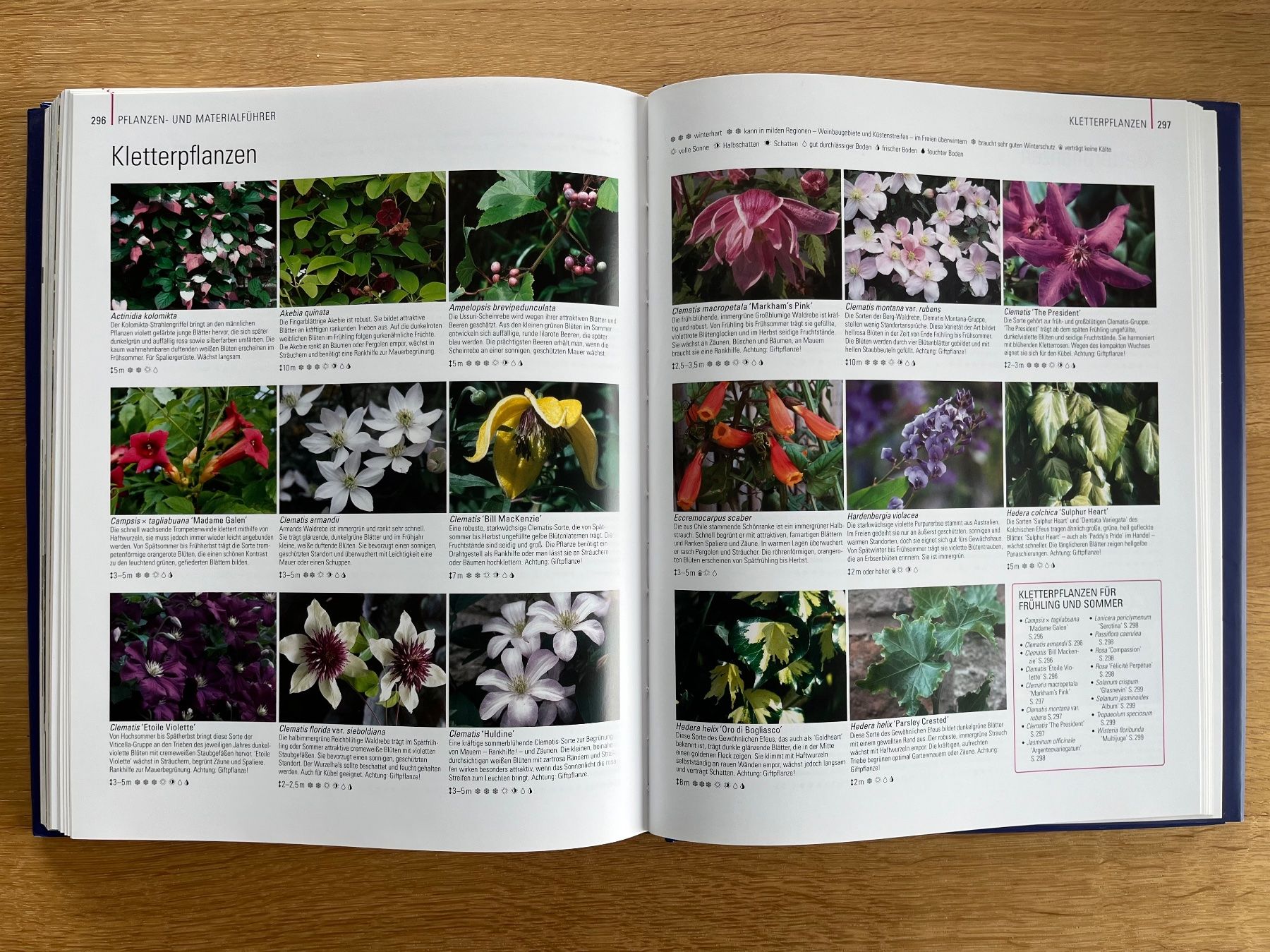 Libri: Die grosse Enzyklopädie des Gartendesign / DK Chris Young – Nuovo (secondo la descrizione) da zürich venduto da Cf8000 5