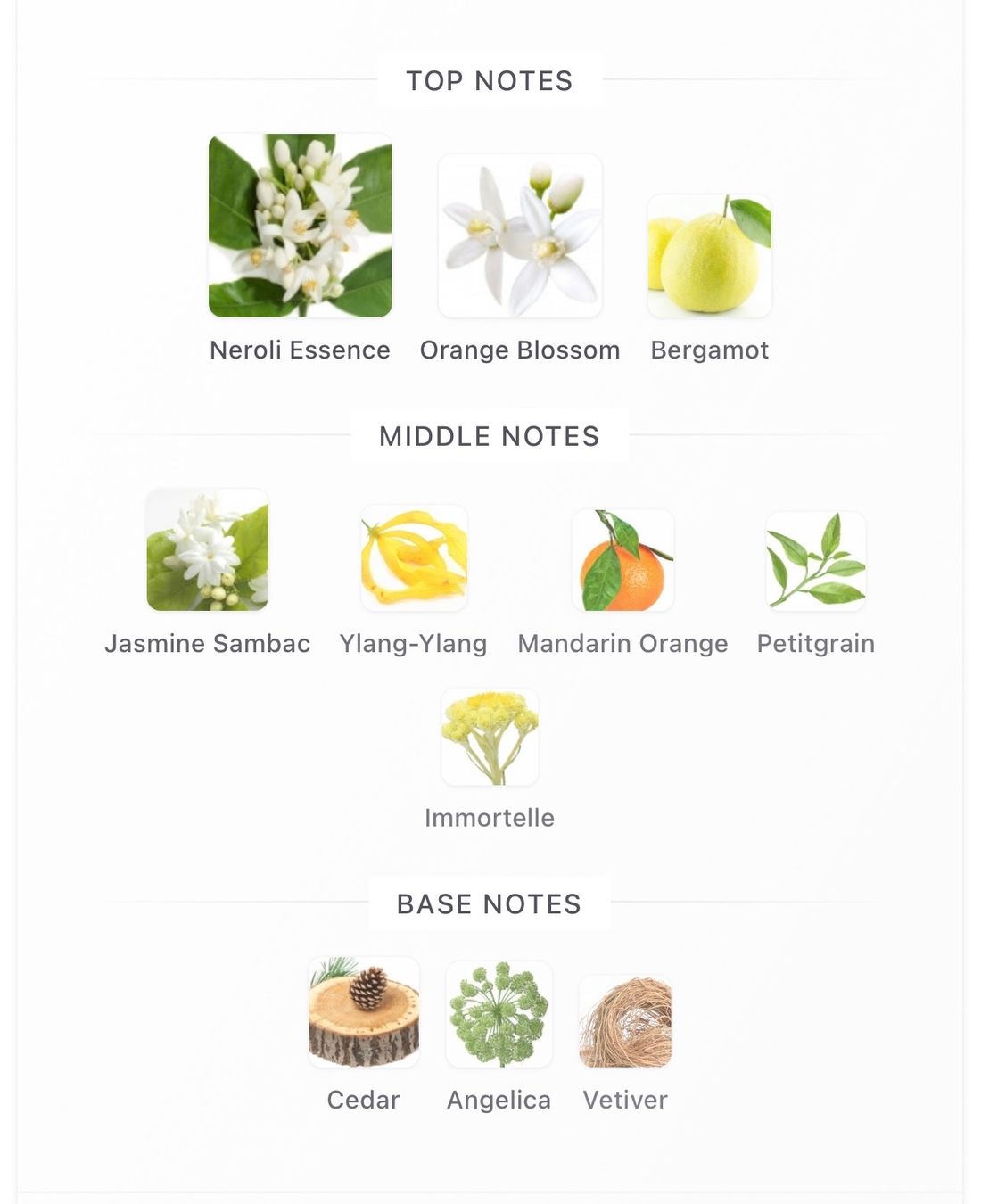 Profumi & Eau de Toilette: 3 ml sample - Roger & Gallet - Néroli - EDP – Nuovo e nell'imballaggio originale da Zürich venduto da mel_nbh7 2