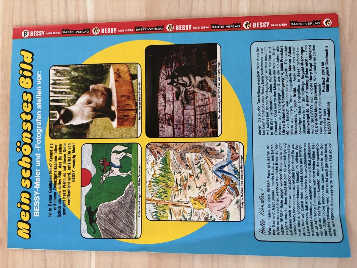 Fumetti: Bessy Bastei 1.Auflage Heft 733 – Usato da Kehrsatz venduto da Raboy 1