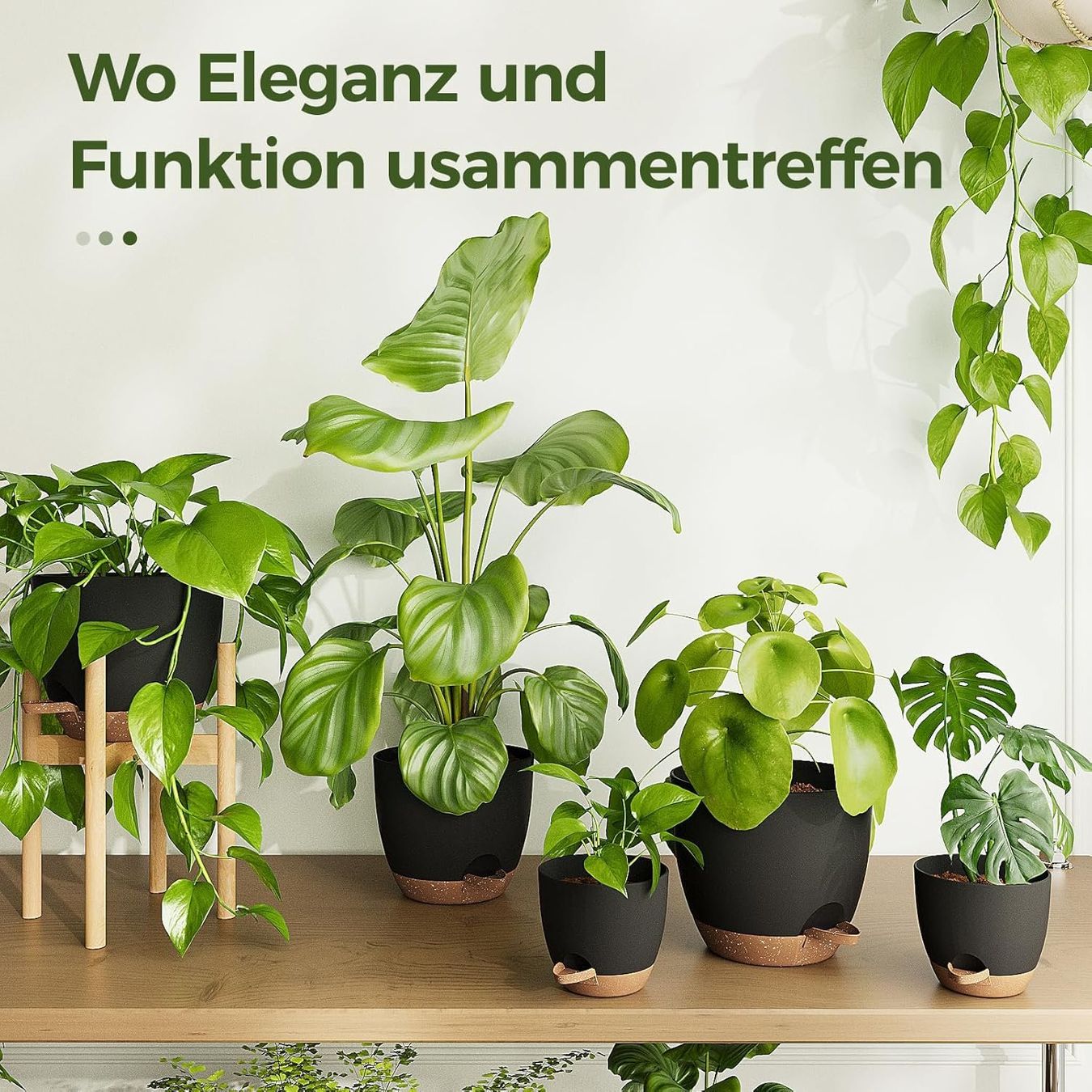 Blumentöpfe: Blumentöpfe 6er Set selbstbewässernd mit Untersetzer – Neu und originalverpackt aus Dietikon von Abverkauf10 2