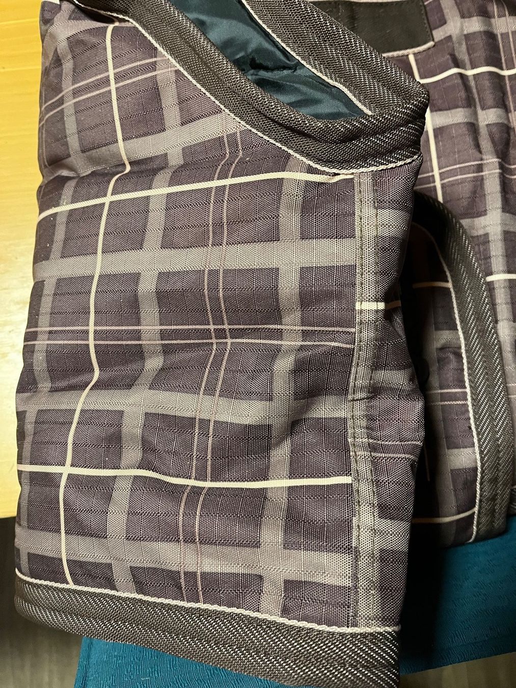 Coperte: Fohlendecke Felix Bühler – Nuovo (secondo la descrizione) da Oppligen venduto da chicca25 3