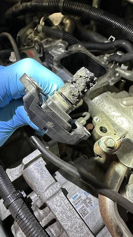 Subaru Automobili: Subaru Forester – Usato da Gordola venduto da Tapelucco 1