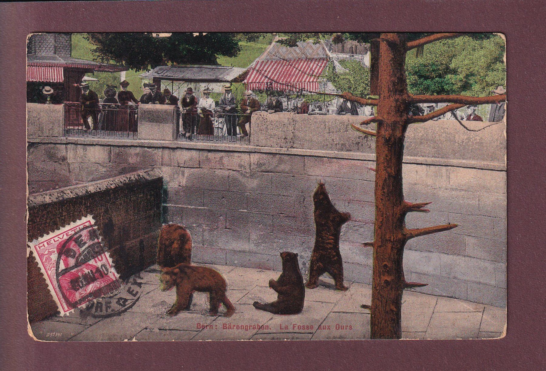 Cartoline postali: BERN - Bärengraben - 1910 – Usato da Pully venduto da nicecards