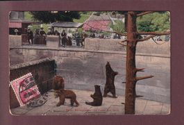 BERN - Bärengraben - 1910