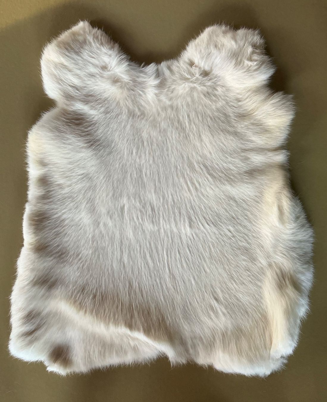 Bastelsets: 2 Schöne Hasenfell Weiss – Gebraucht aus Ulisbach von sasha6