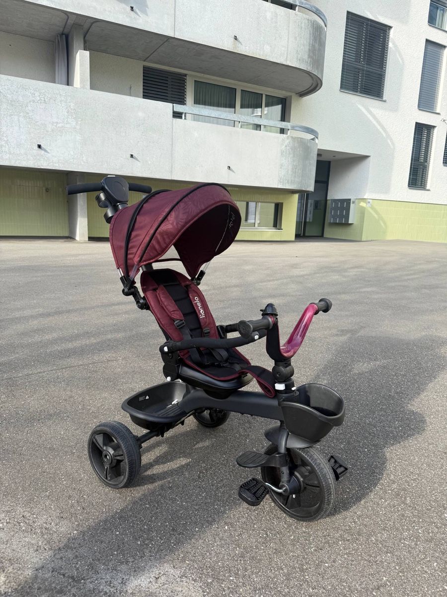 Lionelo Veicoli per bambini: Dreirad Kinderfahrrad – Usato da Rorschach venduto da kop_vg5y 1