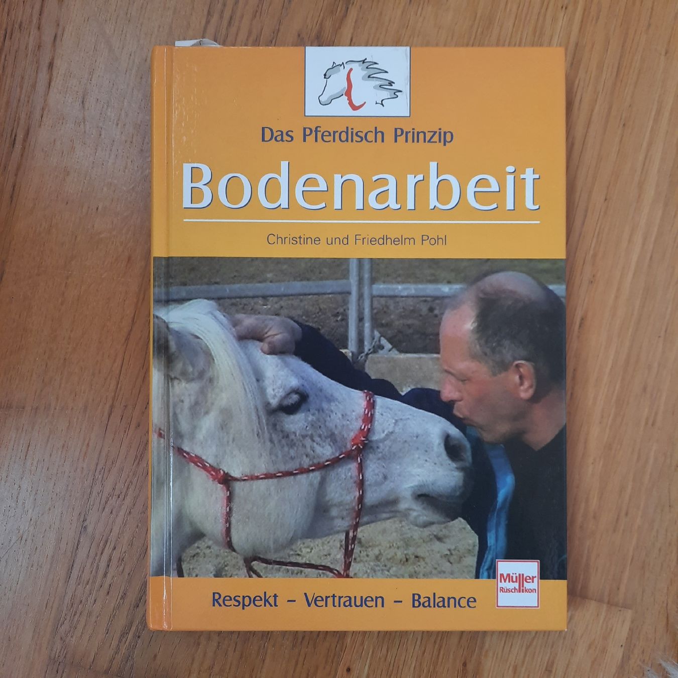 Libri: Bodenarbeit - das Pferdisch Prinzip – Nuovo (secondo la descrizione) da Riedikon venduto da cor_7jcd