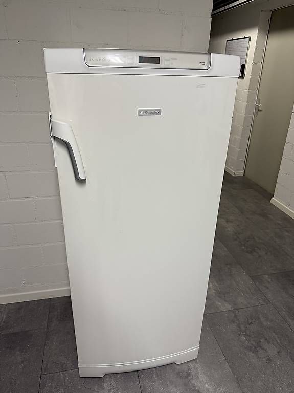 Gefrierschrank: Gefrierschrank Electrolux – Gebraucht aus Leuggern von e.sh13 3