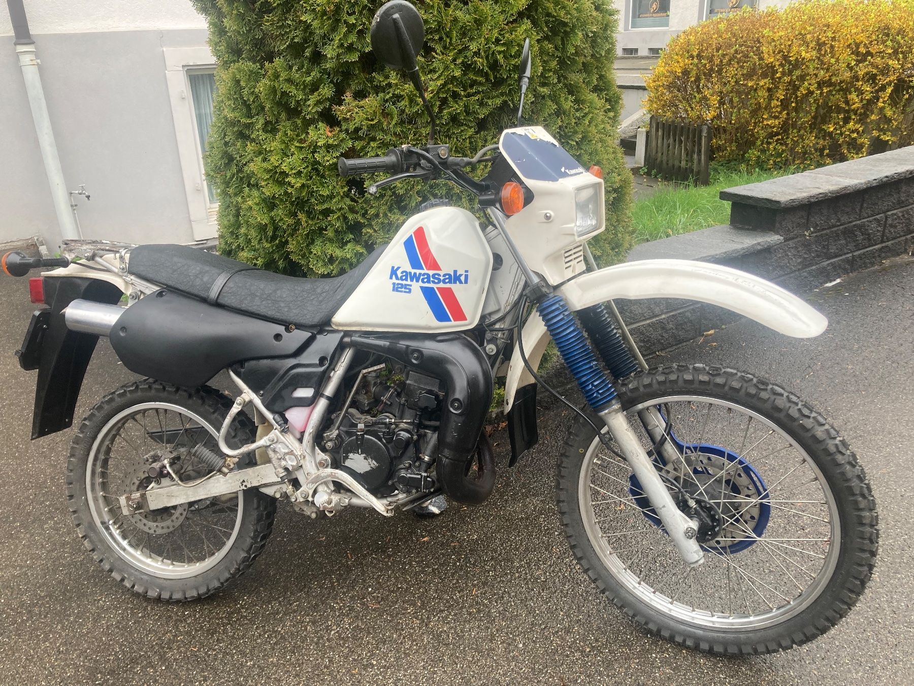 Kawasaki Enduro: Kawasaki kmx 125 ab mfk 2022 – Usato da St.Gallen venduto da niki112 3