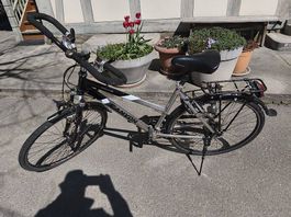 Cooles Herrenvelo