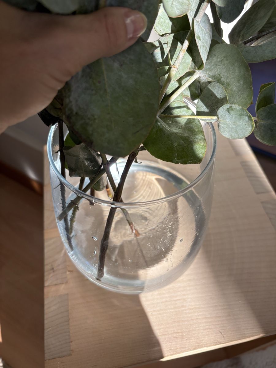 Vasi & Recipienti: Runde Glasvase – Usato da Bern venduto da wisemagpie 7