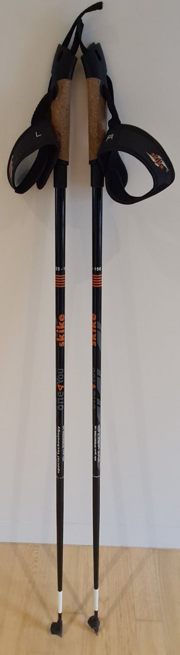 Altri accessori: Skiroller Stöcke – Usato da Islikon venduto da EFH651