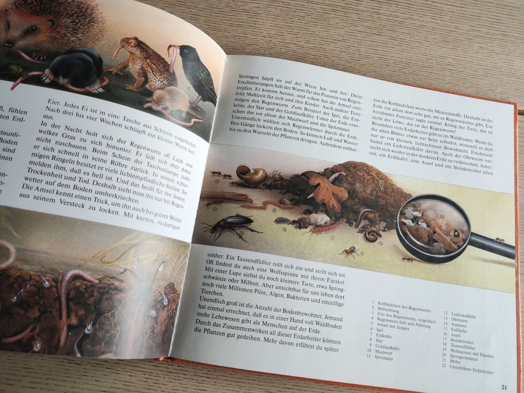Libri: Die Erd-Uhr – Bilderbuch (1985) – Usato da Schaffhausen venduto da philscardstore 7