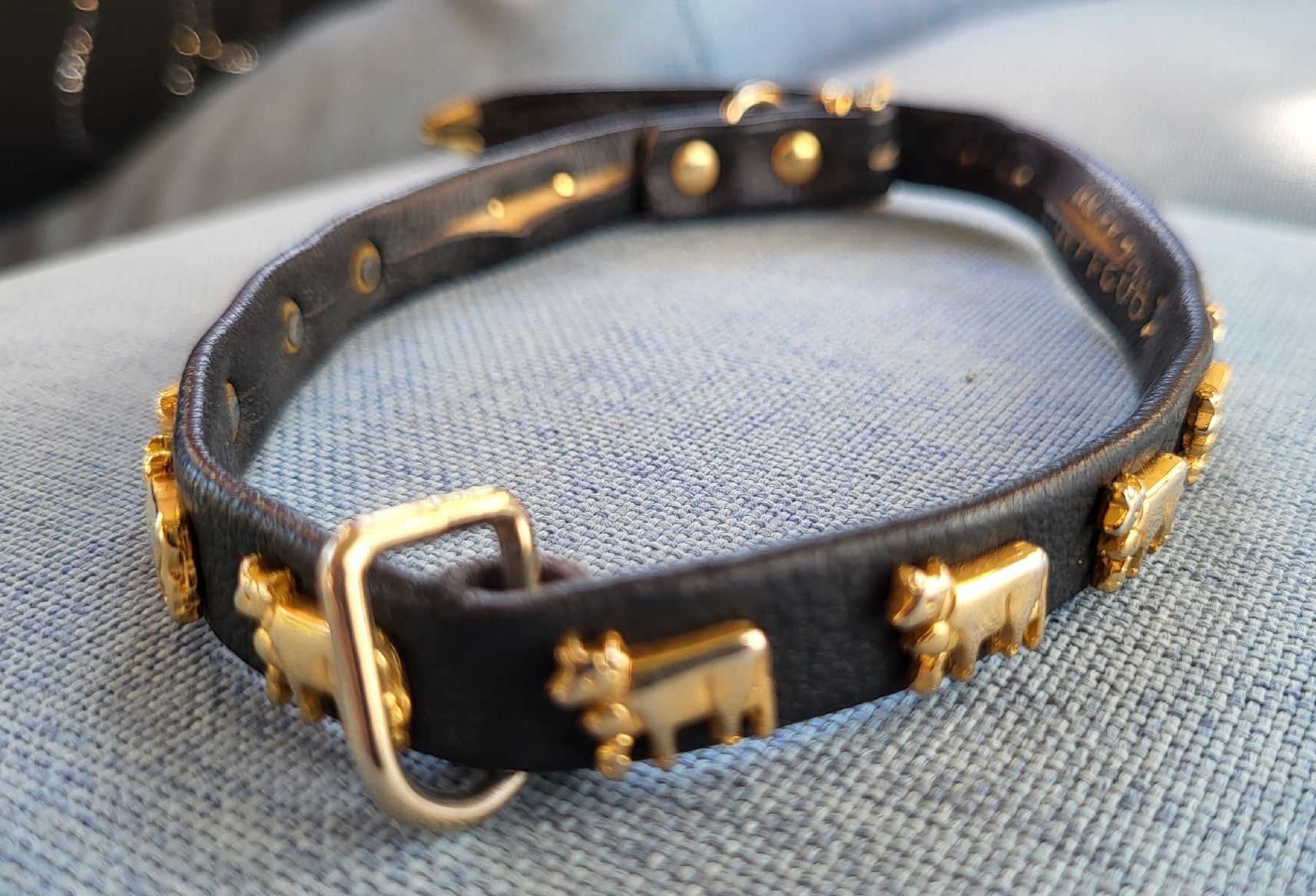 Nastri decorativi: Hundehalsband mit Chueli – Usato da Gutenswil venduto da ghekko88 1