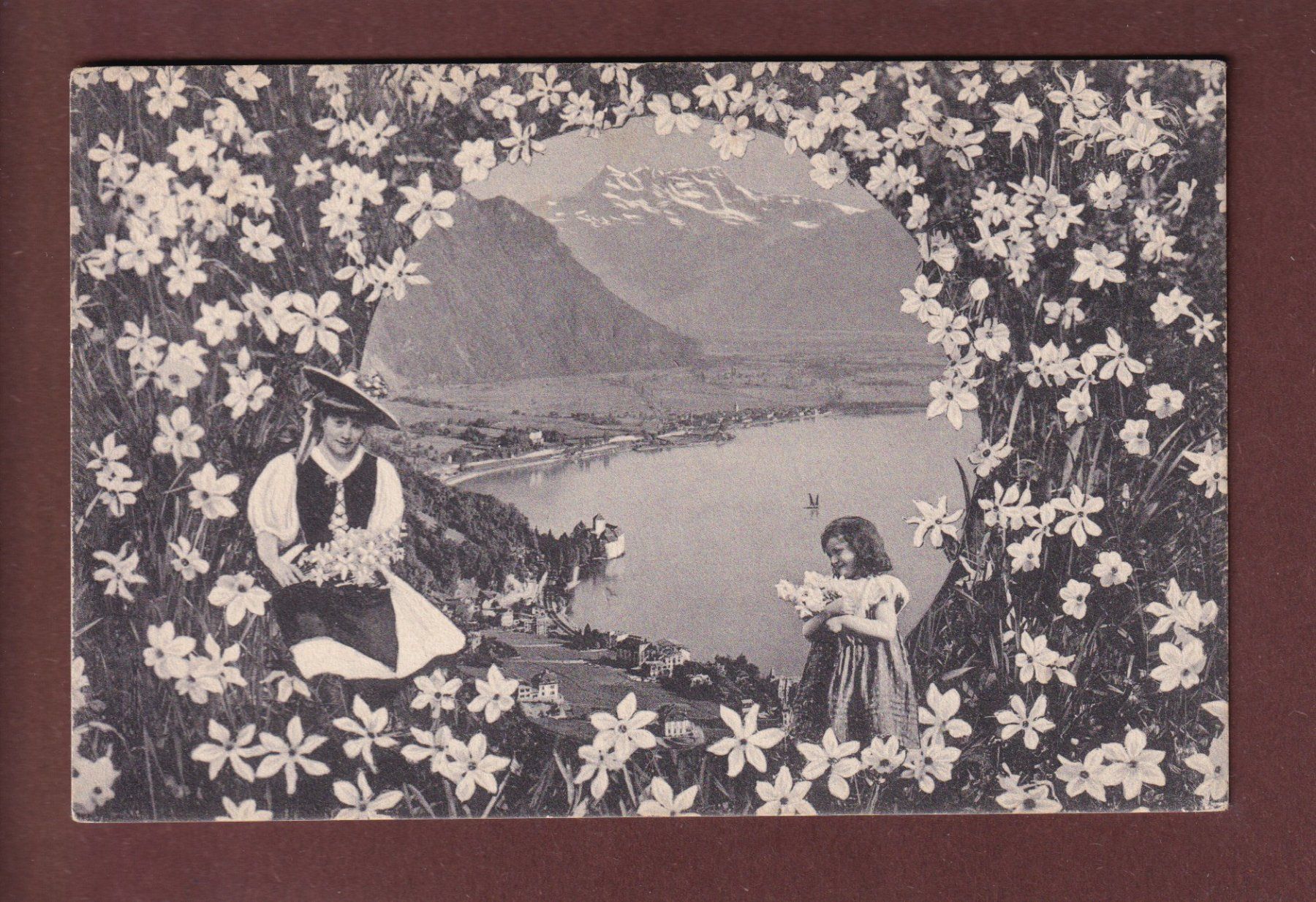 Cartes postales: CHILLON - Dents du Midi - Narcisses – D'occasion à Pully par nicecards