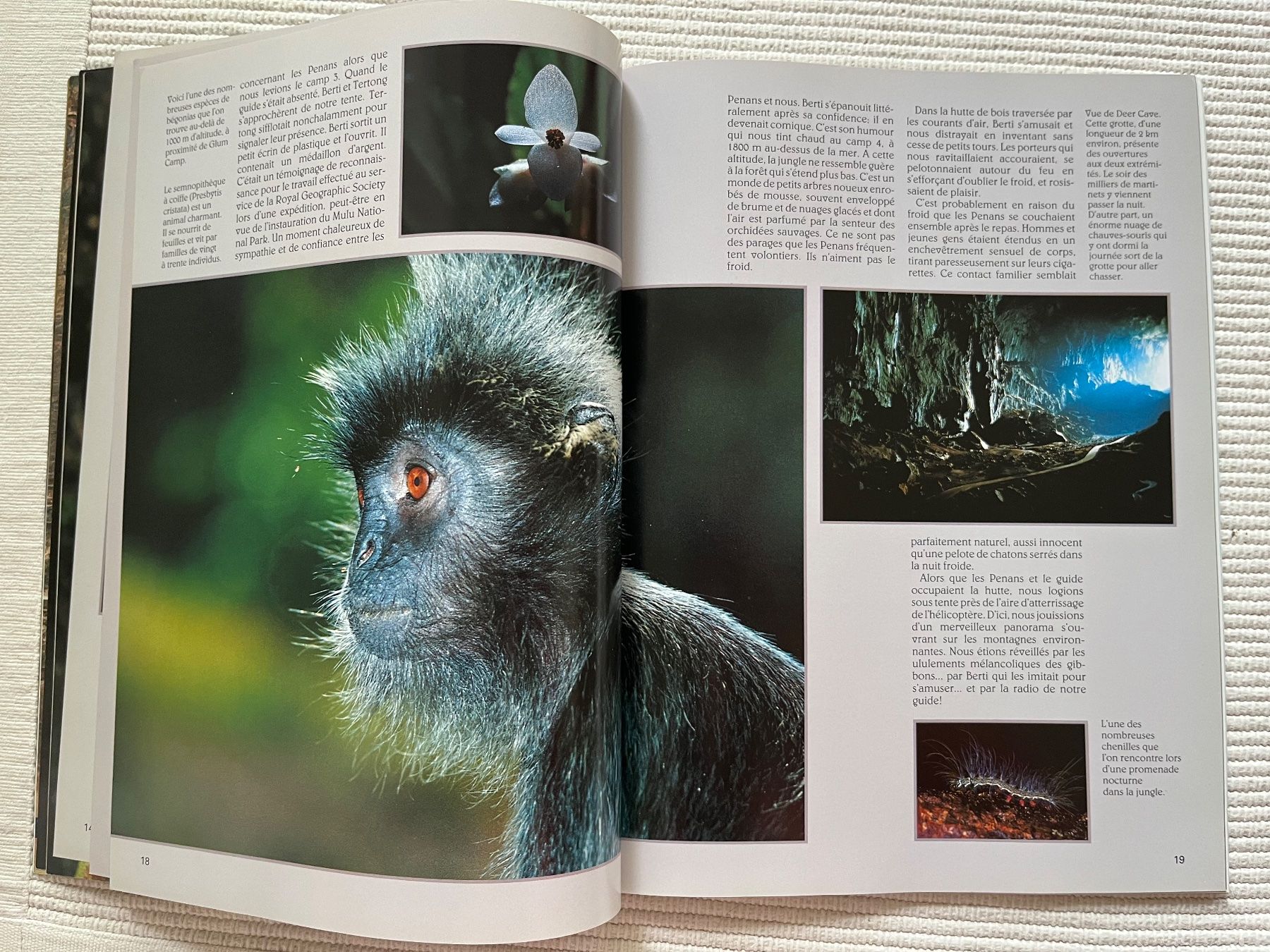 Riviste & Magazine: Animan Nr.36; Sibérie, Hérisson, Vivaldi – Usato da Zürich venduto da Gurkis 3