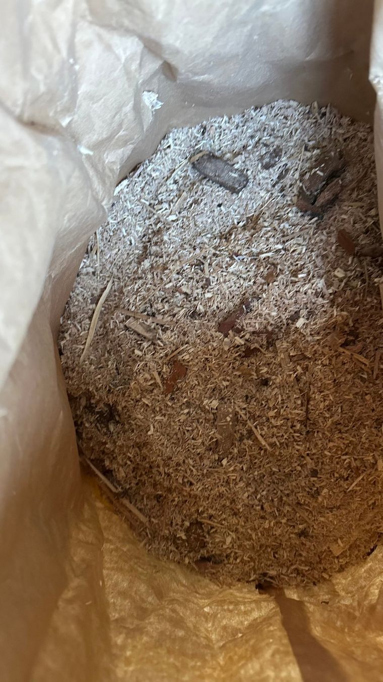 Articoli in legno: Sägemehl, trocken gelagert – Usato da Würenlos venduto da Sa_li 4