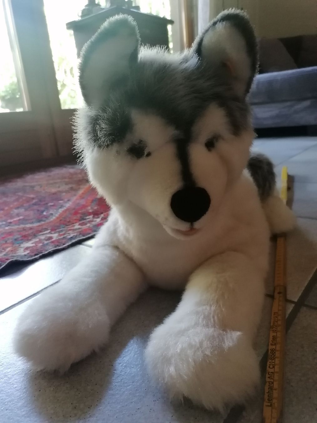 Steiff Spielzeuge: Steiff Hund Husky Sehr Gross – Gebraucht aus Biberist von troedlerheinz 1