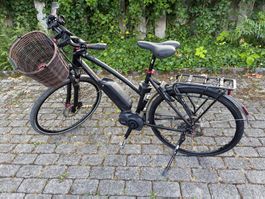 Sinus E-Bike 25 kmH