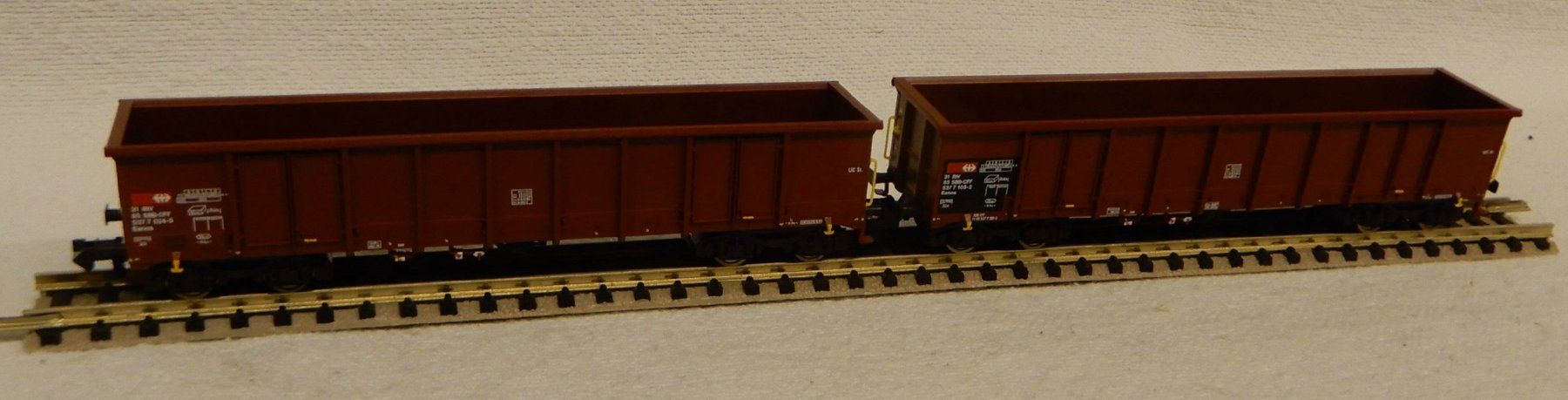 Fleischmann Modellini di ferrovie: 2 Stk Fleischmann 830252 SBB mit Holzladung – Nuovo e nell'imballaggio originale da Rupperswil venduto da Ropi03