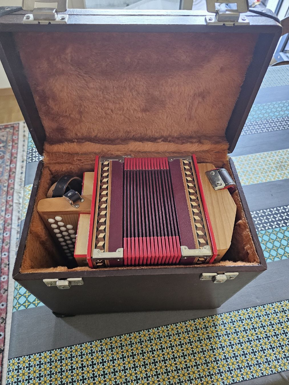Strumenti musicali: Schwyzerörgeli / Schwyzoise Reist  – Nuovo (secondo la descrizione) da Perly venduto da gae_8qhq 3
