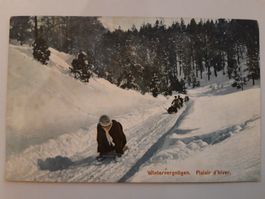 Wintervergnügen Schlitteln