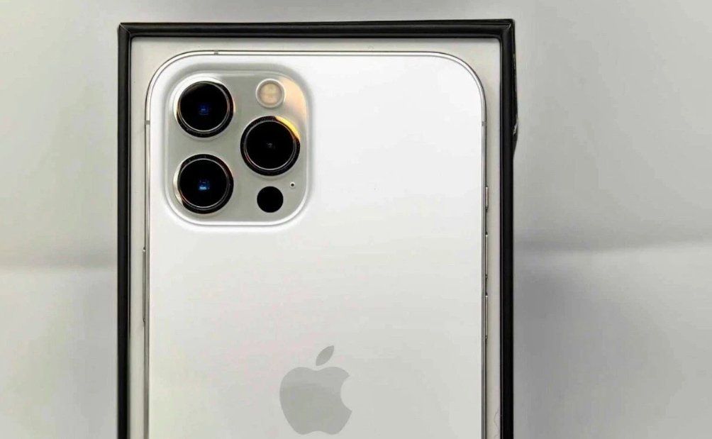 Apple Telefoni cellulari / Smartphones: iPhone 12 Pro Max (512GB) Akku 97% – Usato da Luzern venduto da Waince786 1