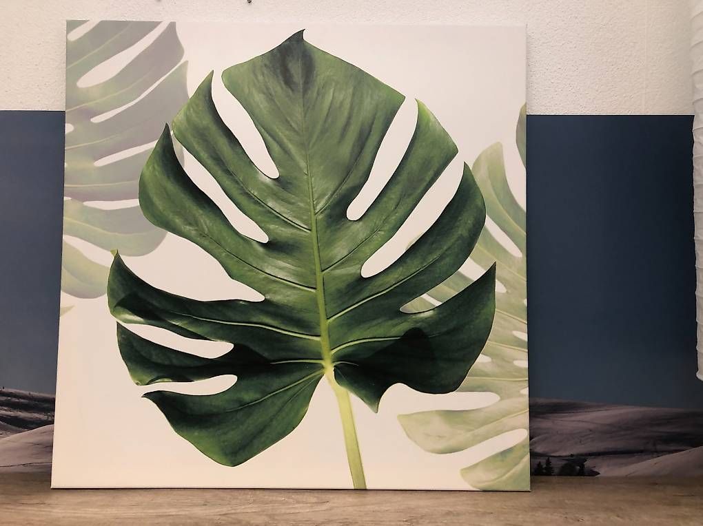 Foto & Immagini: Wandbild – Usato da Bassersdorf venduto da ser_t6qt