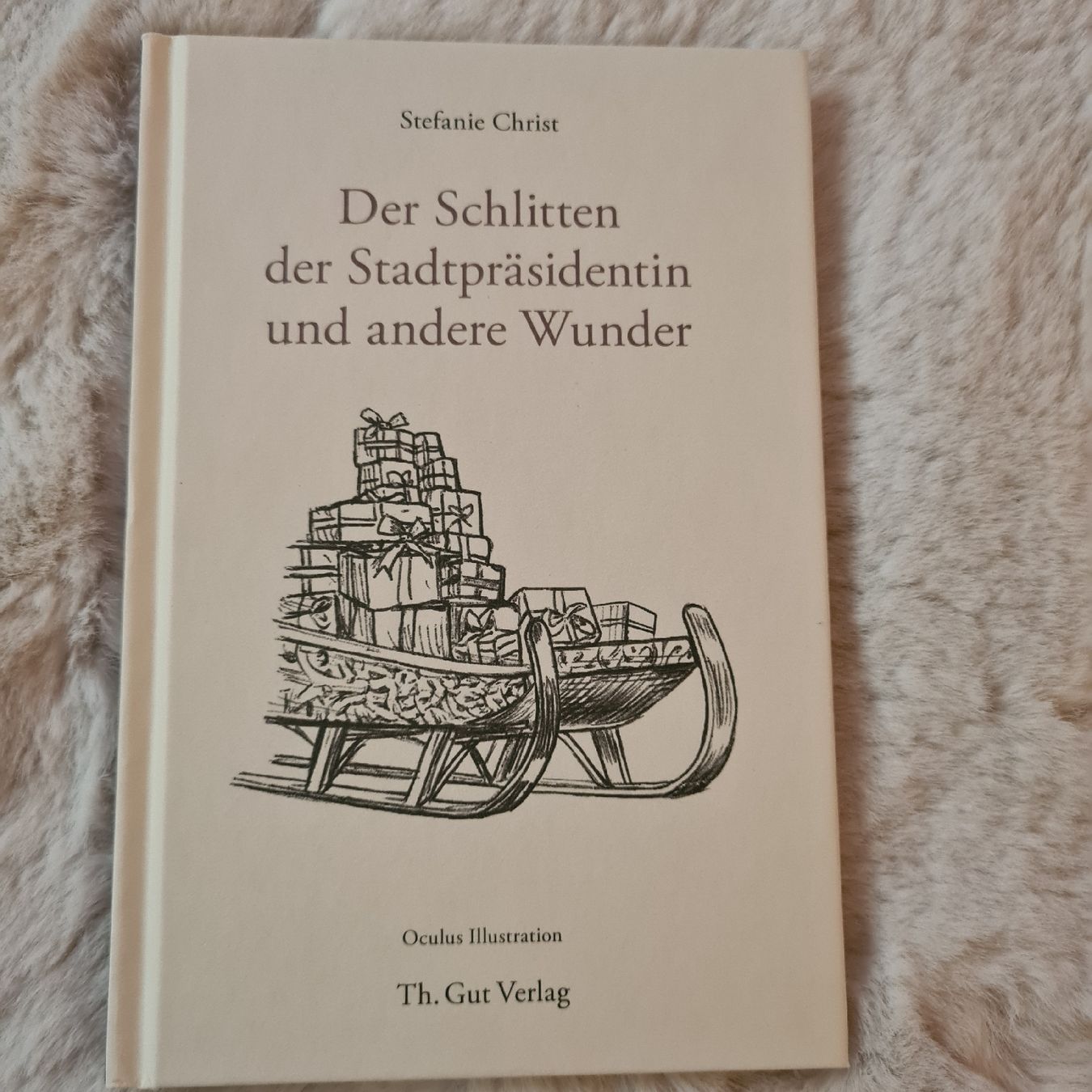 Livres: Stefanie Christ: Der Schlitten der Stadtpräsidentin – D'occasion à Horgenberg par Klatschmohnmaria