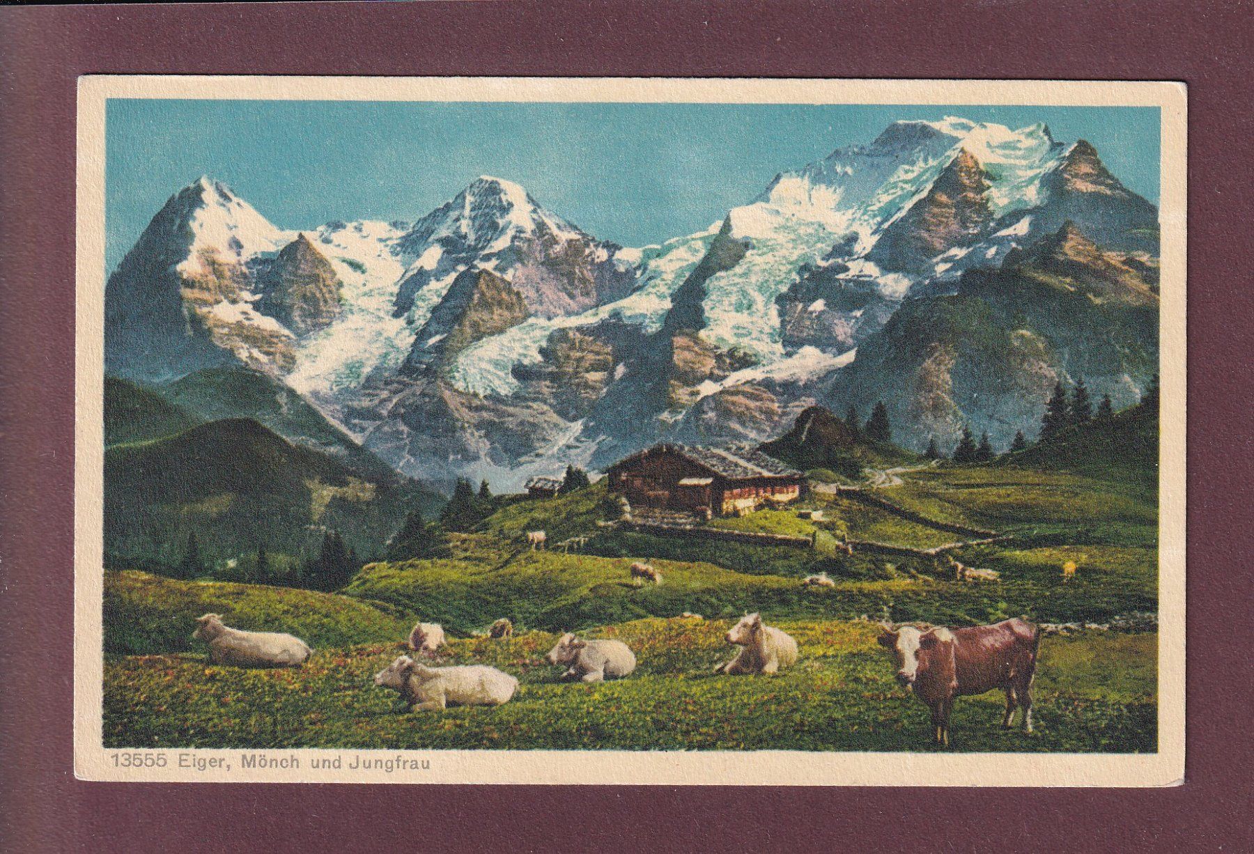 Cartoline postali: EIGER, MÖNCH und JUNGFRAU - Kühe – Usato da Pully venduto da nicecards