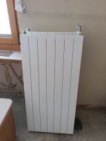Heizkörper Zehnder weiss 100x9x50 cm guter Zustand