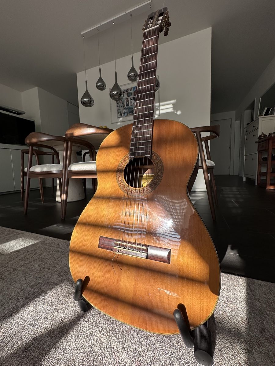 Aria Instruments de musique: Aria Gitarre 🎸 – D'occasion à Untersiggenthal par SuperMario41