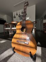 Aria Gitarre 🎸
