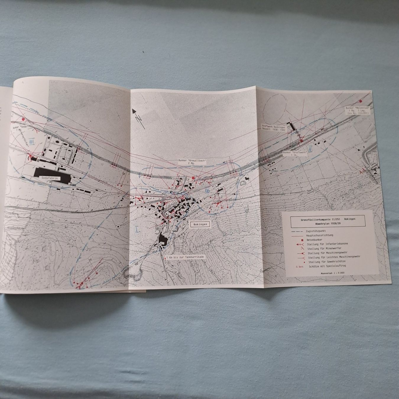 Libri: Gefährdung im Grenzland – Nuovo (secondo la descrizione) da Gipf-Oberfrick venduto da Mig_29 2