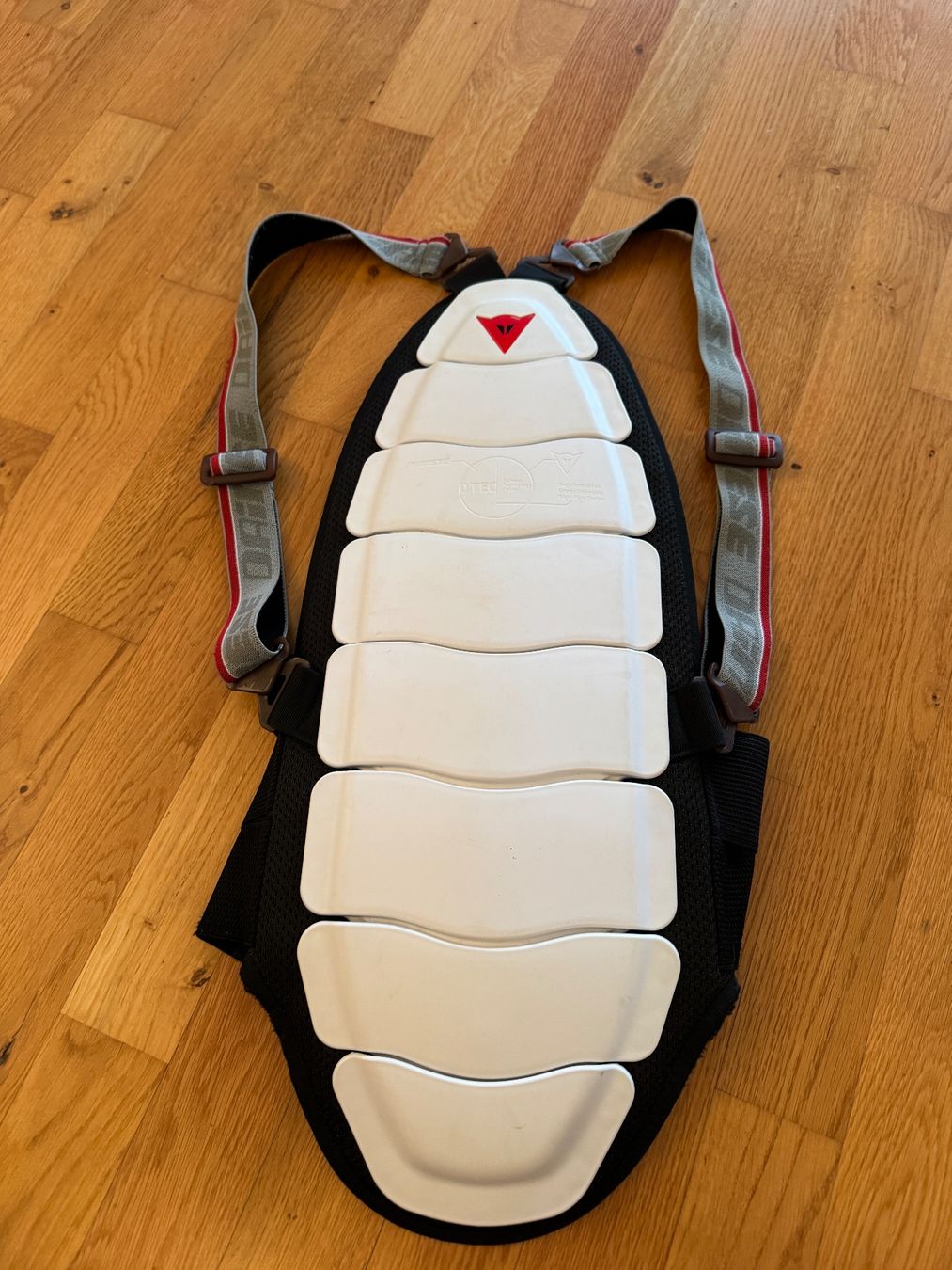 Dainese Protezioni & Imbottiture: Dainese Rückenprotektor – Usato da Rafz venduto da mic_z2sm