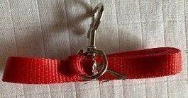 Hundeleine passend zum Halsband