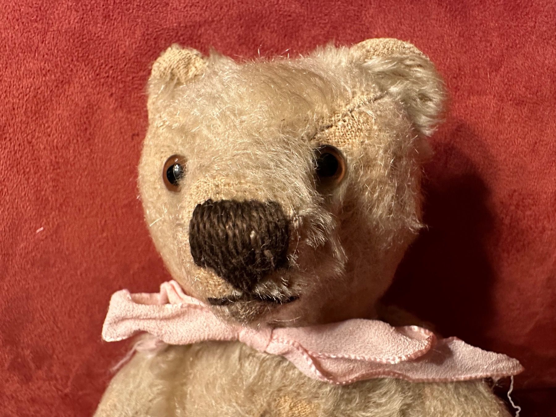 Steiff Giocattoli: Vintage Steiff Teddy – Usato da Herbriggen venduto da Sehrazade 2