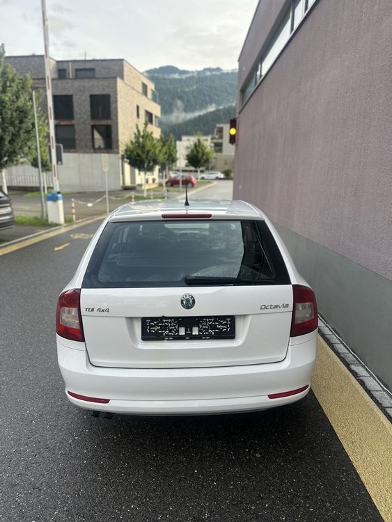 Skoda Automobili: Skoda octavia 1.6 diesel 4x4 – Usato da Walenstadt venduto da Basha92 3
