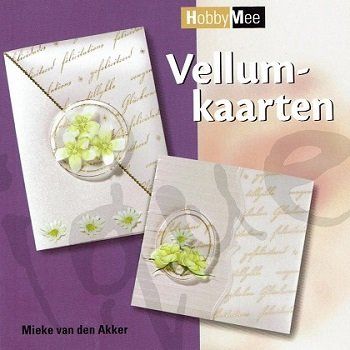 Libri: Vellumkaarten (Bastelheft) – Nuovo (secondo la descrizione) da Schlatt TG venduto da glueckwunschkarte.22