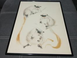 Aquarelle Klaus Meyer-Gasters (2)