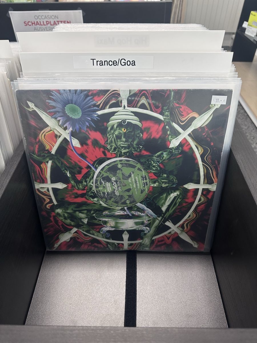 Dischi in vinile: 200+ House/Techno/Goa Schallplatten – Usato da Düdingen venduto da SwissBricks 4