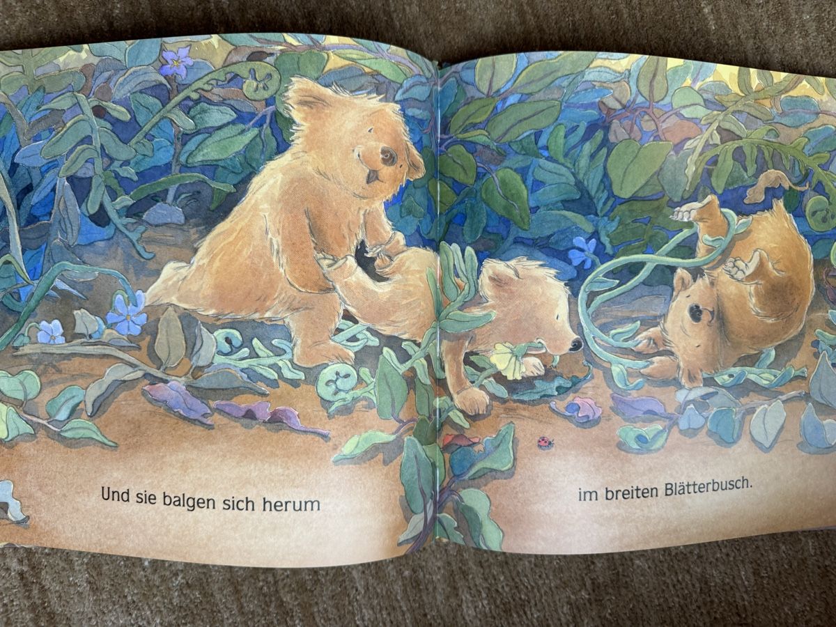 Livres: Bilderbuch - Wenn es Abend wird im Wald – Neuf (Voir description) à Aarau par Kilauea 3